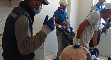 Odunpazarı'nda çöp eve geçit yok