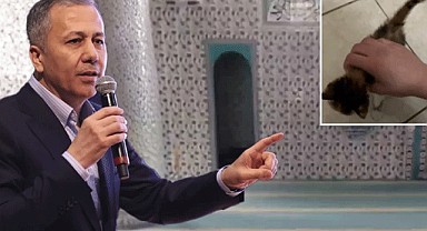 Olay yaratan video! Herkes Ali Yerlikaya'ya çağrı yapıyor