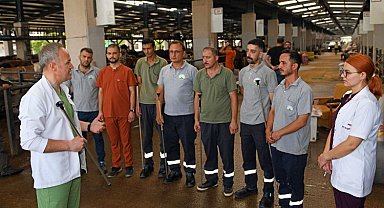 Osmangazi'de Kurban Yakalama Timi göreve hazır