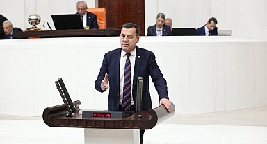 Vecdi Gündoğdu TBMM'de buğday fiyatlarını gündeme getirdi