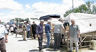 Yenişehir Kurban Pazarı'nda arife günü hareketliliği