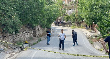 Babasını öldürdü kardeşini ağır yaraladı