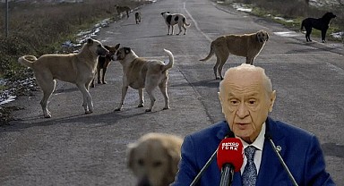 Bahçeli'den yeni yasaya tepki!