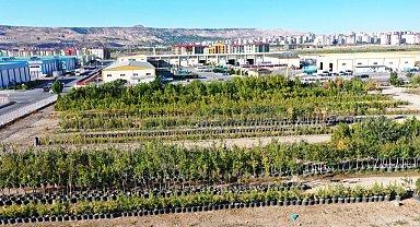 Başkan Çolakbayrakdar, "Yeşil ve daha yeşil bir Kayseri için çalışıyoruz"