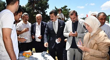 Bursa İznik'te 'maviyemiş' ilgisi