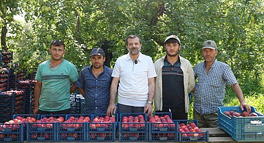 Bursa Şeftalisine AB'den tescil müjdesi