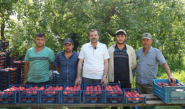 Bursa Şeftalisine AB'den tescil müjdesi