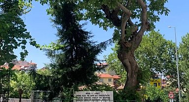 Bursa'da Mehmed Nakşi Çelebi türbesi görenlerin dikkatini çekiyor