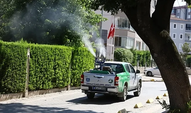 Bursa'da yetersiz ilaçlama, sinek istilasına kapı aralıyor