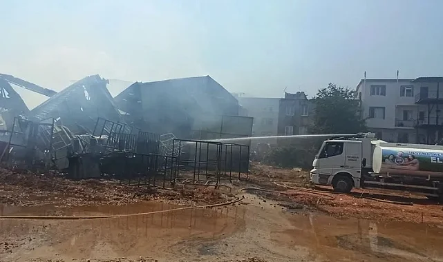 Bursa'daki yangınlar boyut atlıyor