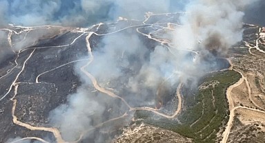 Çeşme'de orman yangını!