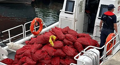 Gemlik'te kaçak operasyonu!