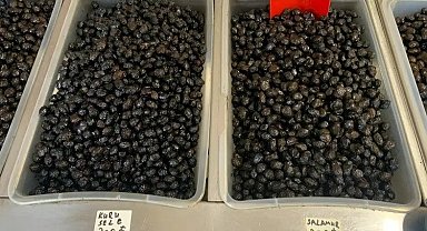 Meşhur İznik zeytininde fiyatlar ne durumda?