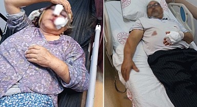 Muğla'da damat dehşeti!