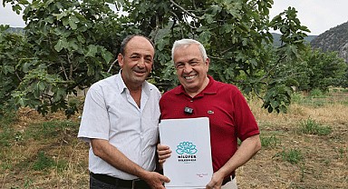 Nilüfer Belediyesi 350 dekarlık alanda tarımsal üretim yapıyor
