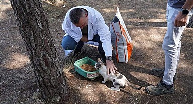 Orhangazi Belediyesi Veteriner İşleri Müdürlüğü’nden Sokak Hayvanlarına Can Suyu