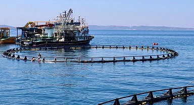 Orkinos çiftlikleri İzmir'den dünyaya açılıyor