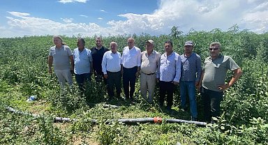 PANKOBİRLİK: Önümüzdeki yıl sanayi alt yapısına başlayacağız