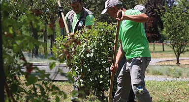 Sakarya'nın dört bir yanında estetik çalışmalar