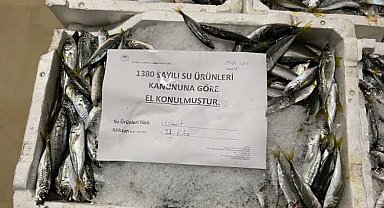 Yediemin'deki su ürünleri kaçıranlara hapis cezası!