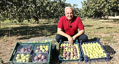 Başkan Şadi Özdemir’den üreticilere ‘kooperatif kurun’ çağrısı