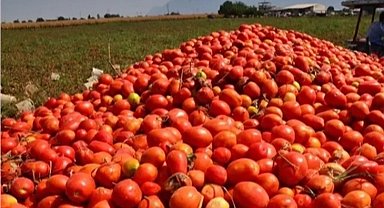 Bursa'da salça sezonu sürüyor