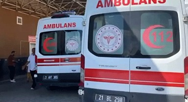 Diyarbakır'da evlat vahşeti
