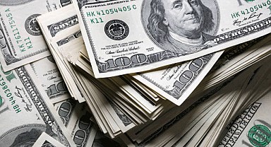 Dolar haftaya yükselişle başladı