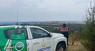 Edirne jandarma'dan yangınlara karşı sıkı denetim