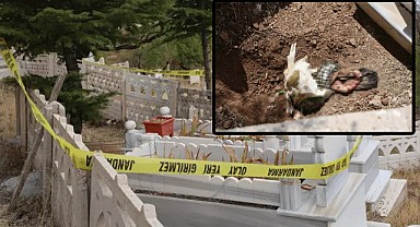 Elazığ'da kan donduran olay!