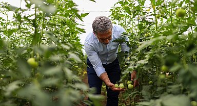 Gemlik Belediyesi Serasında yetişen ürünler Halk Büfe'lerde satışta