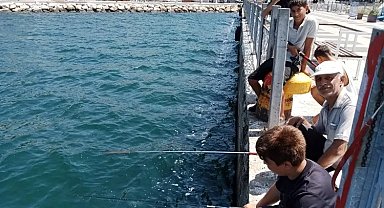 Gemlik sahili balıkçıların gözdesi