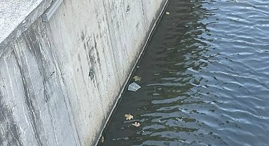 Gemlik'te su kaynakları bakımsızlıktan hastalık saçıyor