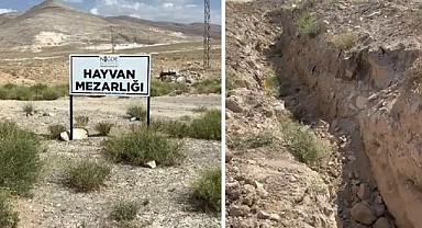 İddiaların aslı bambaşka çıktı