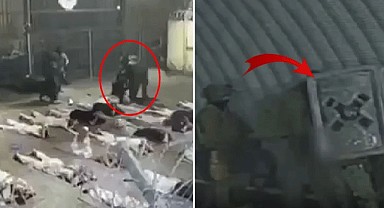 İsrail'in pislikliği gün yüzüne çıktı