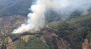 İzmir Kemalpaşa'da Orman Yangını