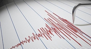 Japonya'da 7.1'lik Deprem, AVM Rafları Sarsılmadı