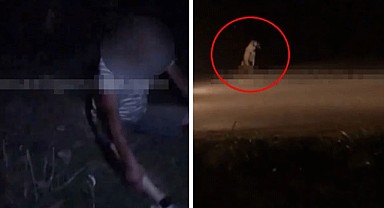 Kocaeli'de pes dedirten olay