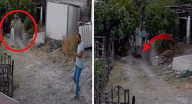 Kurbanı için pusuya yattı