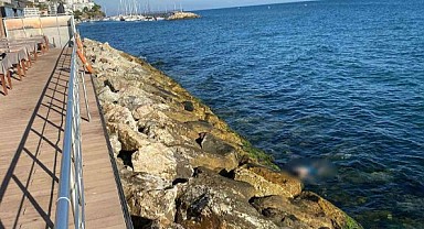 Mudanya Sahili'nde Erkek Ceset