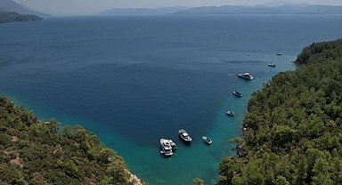 Muğla'ya 220 davalı koruma