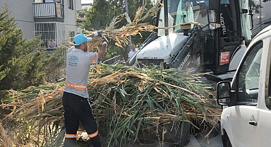 Nilüfer'de temizlik seferberliği başlatıldı