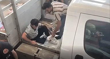 Polisler bile şok oldu