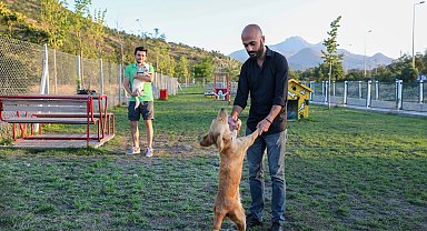 Talas'ta hayvanlara özel patiyol        