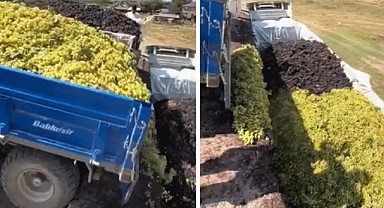 Üzüm üreticisi isyan etti!