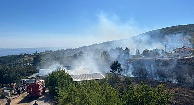 Yalova Armutlu'da orman yangını kontrol altında