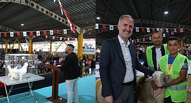 Yerli Tavuk Irkları İle Koçlar İnegöl’de Podyuma Çıkacak
