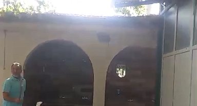 Yılanın kuş yuvasına saldırısı görüntülendi
