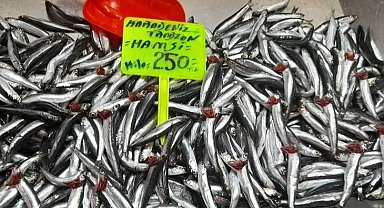 Bursa'da balık fiyatları düşmüyor