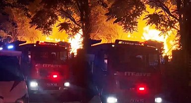 Bursa'da palet fabrikası alev alev yandı